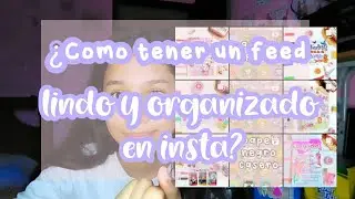 ¿CÓMO TENER UN FEED BONITO EN INSTAGRAM? ✨ FEED ORGANIZADO Y LINDO EN INSTA