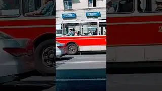 Экскурсионный ретро троллейбус номер 206- ЗиУ 682Г [Г00]