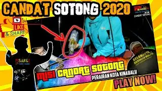 sotong oh sotong...Trip candat Sotong kota kinabalu