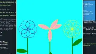 Project Turtle Demo