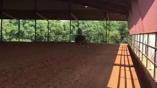 MAGNAFOX