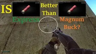 Is Express Better than Magnum Buck?