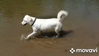 Лето красное...)