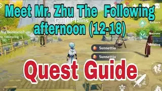 Meet Mr. zhu The Following afternoon(12-18) | Genshin Impact | Quest Guide