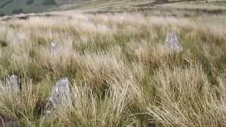 Cerrig Bwlch y Fedw Stone Circle