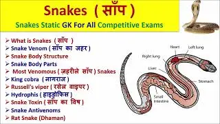 Snake (साँप) || Static GK