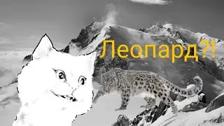 Я ЛЕОПАРД?! / МНЕ НЕ ПОНРАВИЛАСЬ ИГРА?!