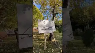 #JasonDeruloTV // Tree Art! #GotPermissionToPost From IG @theciucius #Komasava