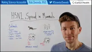 H5N1 Avian Flu in Mammals