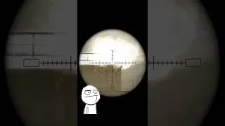 Умнейший из умнейших | 