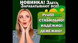 PROFIT BOX - результаты команды 