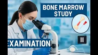 Bone Marrow Study II Bone marrow Examination
