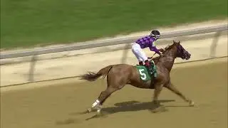 TIMONIUM 08 25 2024 RACE 3