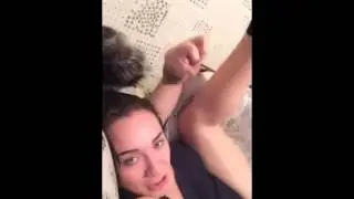 Тигр