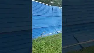 11 августа 2021 г.