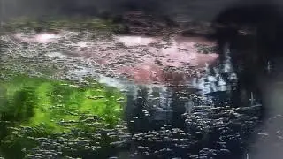 Сад изящных слов [AMV]