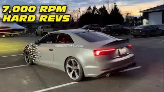 2019 Audi S5 Insane Exhaust Sounds - AWE Track Exhaust