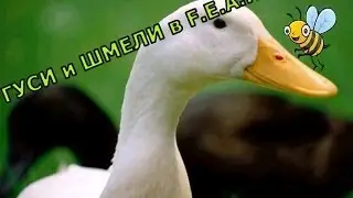 ШМЕЛЬ и ГУСЬ,а так же F.E.A.R 3 и куча роботов :D