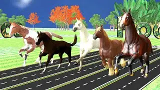 Epic Horse Race, African Horse vs Arabian Horse vs Farm Horse vs Thoroughbred Horse