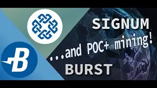 BURST (SIGNUM) - What is Burst?