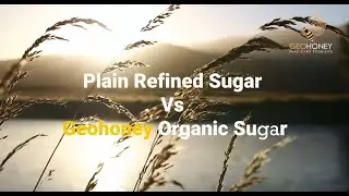 Plain Refined Sugar vs. Organic Sugar from 100% Organic Sugarcane | Geohoney