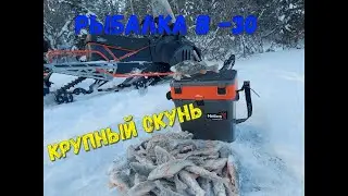 Рыбалка на окуня 2022. В гости к папе 