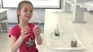 2021. Опыт 6. Очистка воды. Группа 2