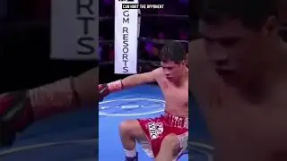 An accurate punch can end a fight