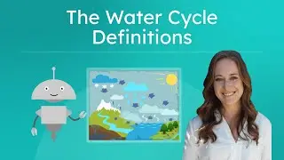What Is the Water Cycle?