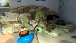 Holky si hrají
