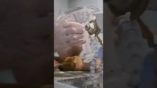 Creating a Waterford Crystal requires precise focus. 