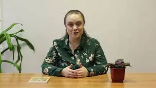 Что такое психодрама, расстановка? Структура психодрамы, расстановки