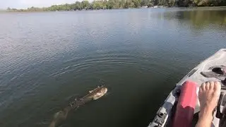 Success and Heartbreak Trying New Lake