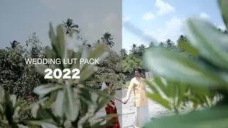 Premium Wedding Video Lut 2022 |LUT 2022 | Fcpx & Premiere pro | Download Now | Learn 2 Pro