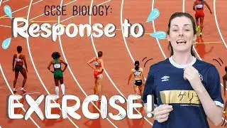 Response to Exercise - GCSE Biology