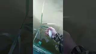 Маныч 