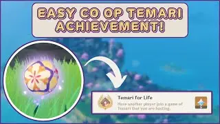{Easy Hidden Co Op Achievement} ~ “Temari for Life” How to ~ Inazuma