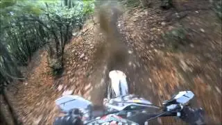 31° mototrip 2016 hard enduro da...schizzo...illustre ditta enduro boschiva...