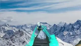 Bird Journey