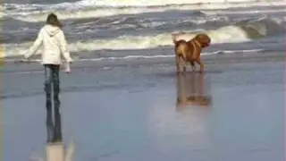 Sea of love