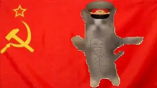 кот шнапи флексит под гимн СССР(USSR) 