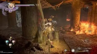 Ok