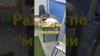 4 августа 2024 г.