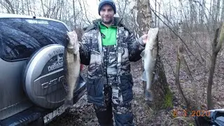джиг судачишки в начале марта на Десногорском водохранилище...
