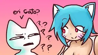 QUE SON LOS GATOS 😽