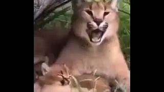 Хуй.хуй.