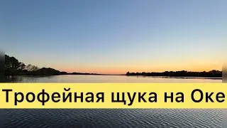 18+ Щука-монстр и бандиты на р.Оке! Внимание ‼️ есть ненормативная лексика.