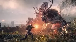 The Witcher 3: Wild Hunt vs Skyrim