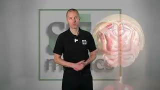 B17   Meningitis