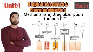 Introduction to Biopharmaceutics and Pharmacokinetics||Part-1 Unit-1|| biopharmaceutics 6th sem